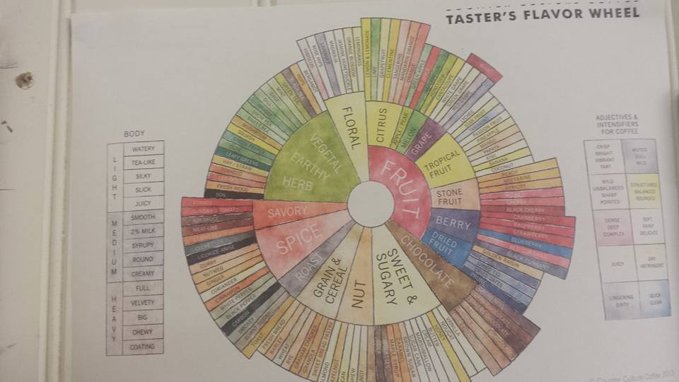 Check out all the flavours in coffee!