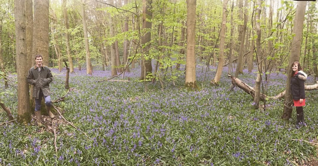 The bluebells near Long Buckby!